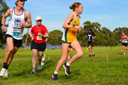 1_TIM_8618