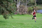 TIM_4444