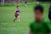 TIM_3623 TIM_3623