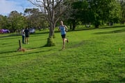 TIM_1183