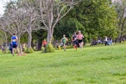 1_TIM_3065