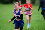 TIM_3077 TIM_3077