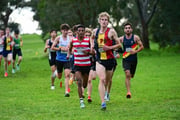 TIM_3868 TIM_3868