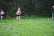 TIM_2603 TIM_2603
