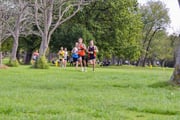 TIM_3051
