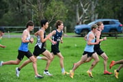 TIM_3845 TIM_3845