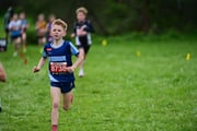 TIM_3269 TIM_3269