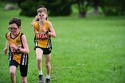 TIM_3541 TIM_3541