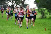 TIM_3852 TIM_3852