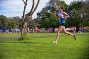 TIM_0833