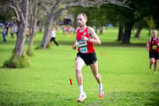 TIM_8812 TIM_8812