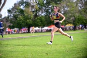 TIM_0843