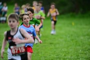 TIM_3333 TIM_3333