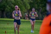TIM_0291