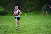 TIM_3231 TIM_3231