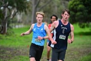 TIM_8020 TIM_8020