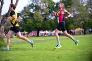 TIM_0871