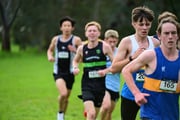 TIM_3884 TIM_3884