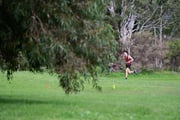TIM_4438