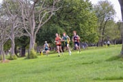 TIM_3031