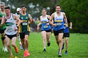 TIM_0513 TIM_0513