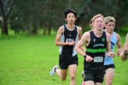 TIM_3887 TIM_3887