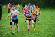 TIM_3305 TIM_3305