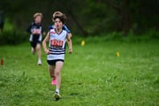 TIM_3262 TIM_3262