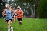 TIM_0536 TIM_0536
