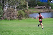 TIM_4449