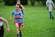 TIM_3519 TIM_3519