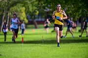 1_TIM_9992