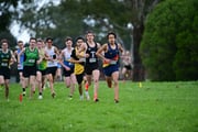 TIM_0387 TIM_0387