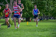 TIM_0541