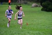 TIM_3058 TIM_3058