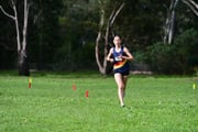 TIM_9788 TIM_9788