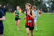 TIM_1912 TIM_1912