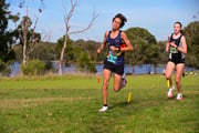 TIM_8602 TIM_8602