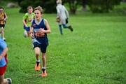 TIM_3523 TIM_3523