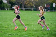 TIM_2545 TIM_2545
