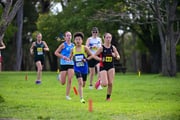 1_TIM_8236