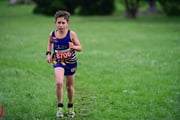 TIM_3633 TIM_3633