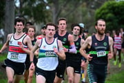 TIM_7978 TIM_7978