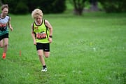 TIM_3558 TIM_3558
