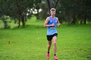 TIM_3942 TIM_3942