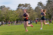 1_TIM_2932
