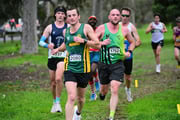 TIM_8598 TIM_8598