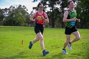 1_TIM_9103