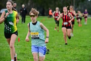 TIM_1918 TIM_1918