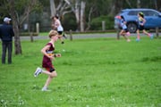 TIM_2070